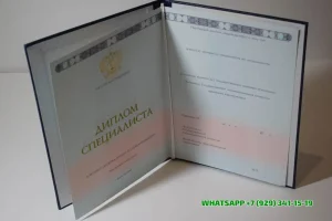 Купить диплом в Комсомольске-на-Амуре АИЭ СПбУТУиЭ — Алтайского института экономики